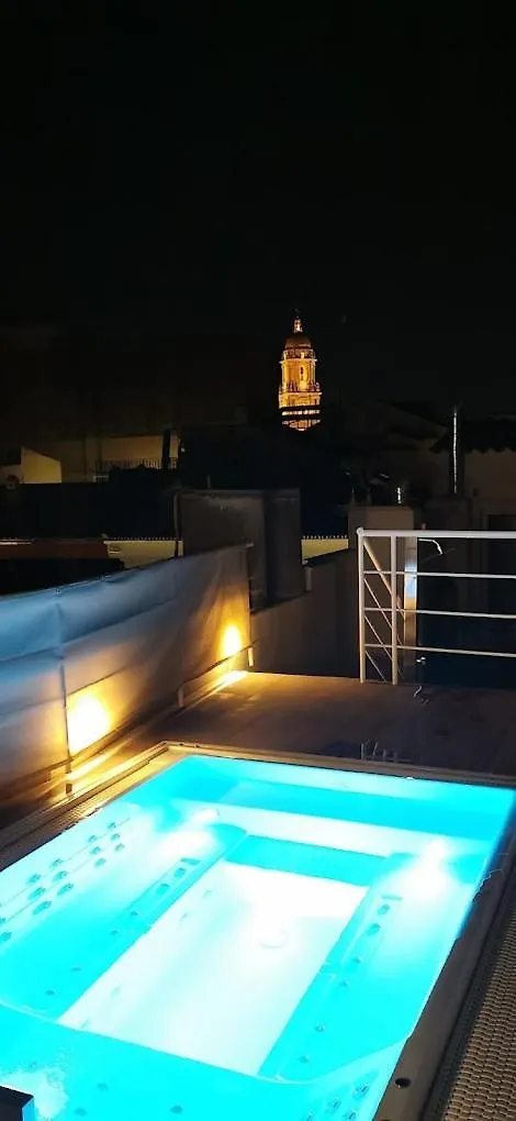 Apartamentos de lujo EL MUSEO Living&Experience Club Arte contemporáneo y mobiliario de colección de los años 50 Málaga